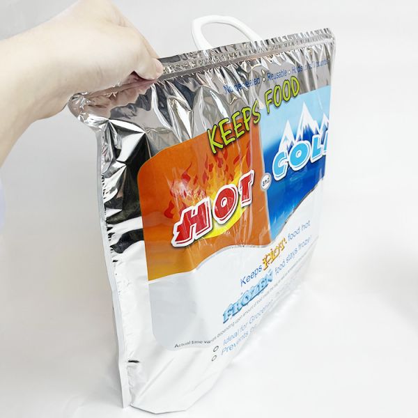 Frozen Warmer Waterproof Thermal Insulated Cooler Bag for Kids Lunch Tote Picnic