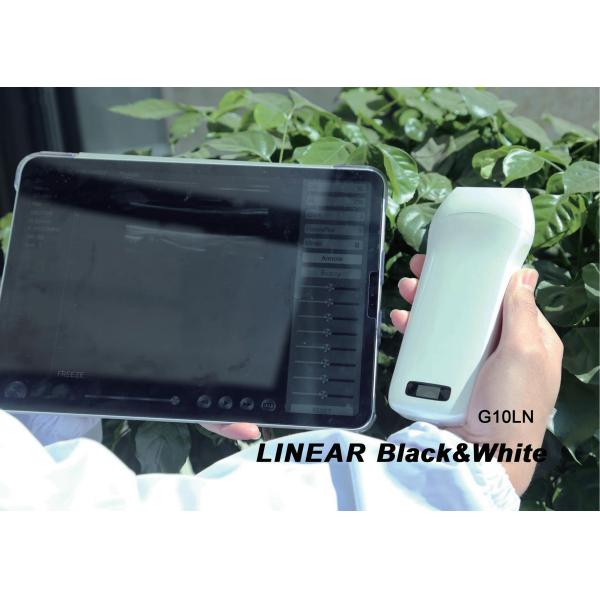 GH Medical Hospital Equipments G10LN 128E Linear Wireless Vascular Probe Ultrasound 10Mhz
