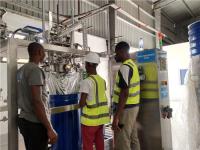 Linha de processamento do tomate de Berry Fruit SS304 1500T/D