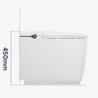 Luxury One Piece Modern Smart Toilet Automatic Ceramic Intelligent Toilet