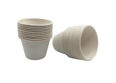 Leve embora copos do bagaço da cana-de-açúcar de 60ml 2oz