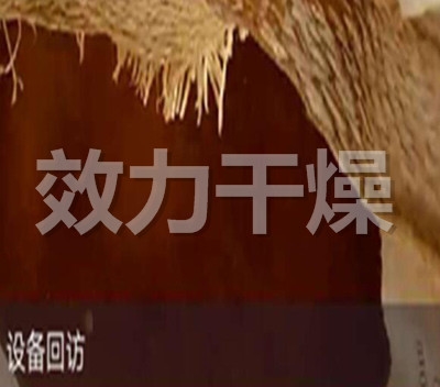 High Efficiency Compact Footprint Paddle Dryer For Industrial Sludge Chemical Processing