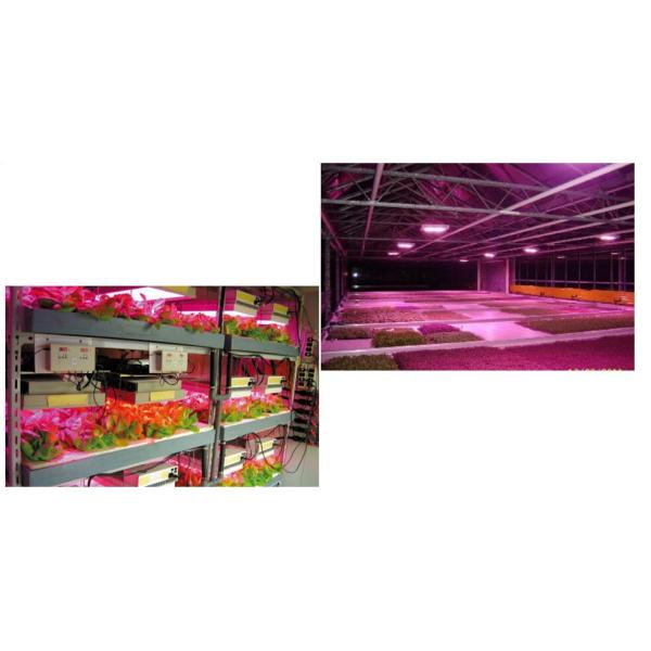 СИД 420В растет света для крытый осеменять парника/расти/зацветать/принося плоды