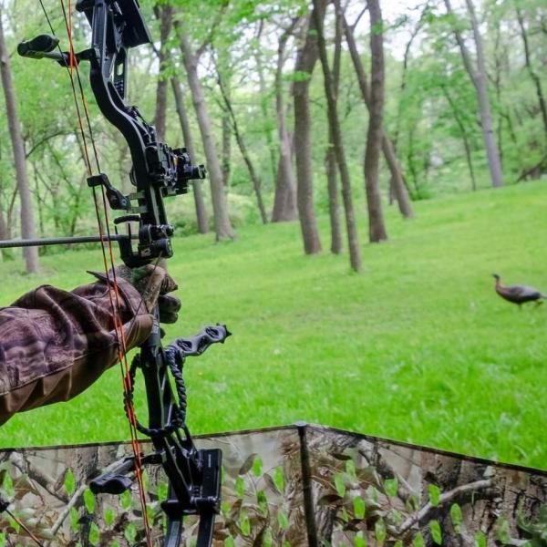Hawkeye Penetration Carbon Hunting Arrows / Carbon Fiber Arrows Impact Resistance