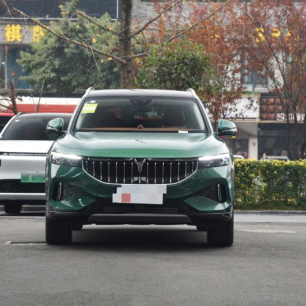 VOYAH ОСВОБОЖДАЮТ 2023 средство версии SUV супер длинного времени работы от батарей 4WD выдвинутое большое