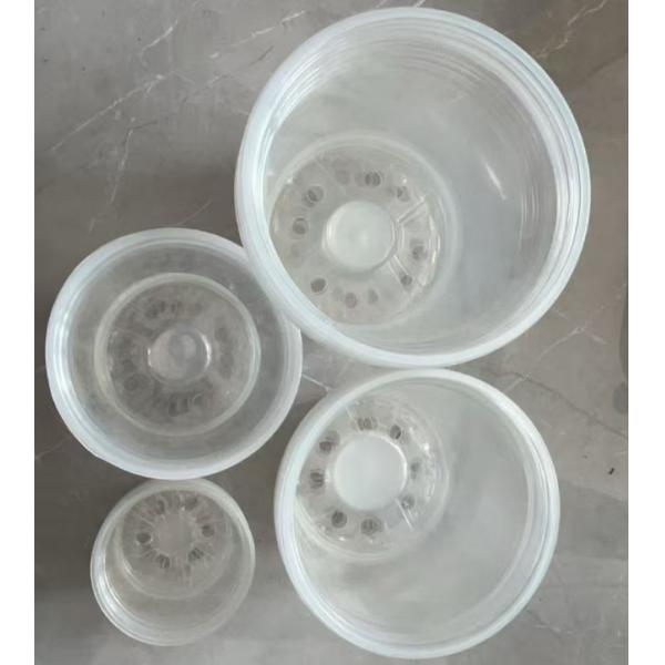 Transparent Phalaenopsis Flower Pot Transparent Flowerpot Orchid Pot