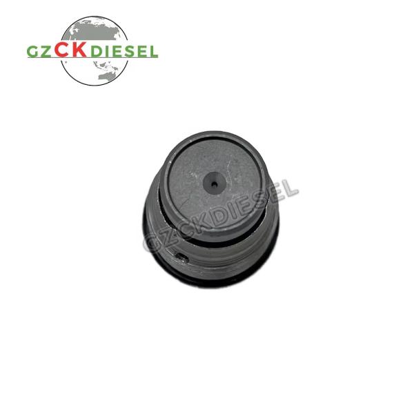 Fuel Pump Relief Valve Limiting Valve 1110010016 1110010017 1110010018 1110010024