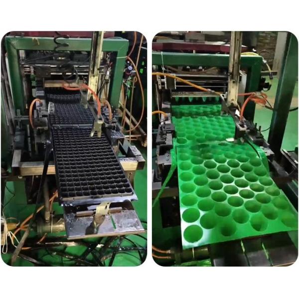 Plateau de semences de tomates et légumes en plastique à 15 cellules