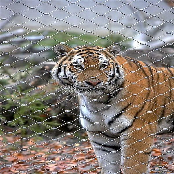 High Tensile & Strong Inter-woven Cable Mesh As Animal Enclosure