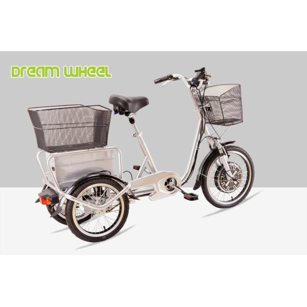 25km/H Pedal Assist Electric Trike 48V 350W Brushless Motor