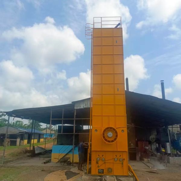 Palm Kernel Dryer Machine Nuts Seeds Dryer Tower 15 Tons Automatic Dryer For Sell