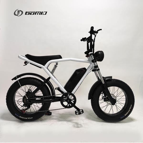 48V 500W City Bike Long Range Retro E-Bike with Powerful Lithium Battery and Disc Brake