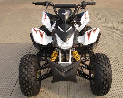 Mid Size Four Wheel ATV 110cc Fully Automatic With Reverse Front Double Drum Brake