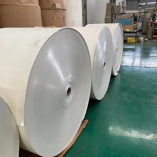 Eco-friendly PE Coated Paper Roll for Paper Cup Manufacturing with Waterproof and Greaseproof Features