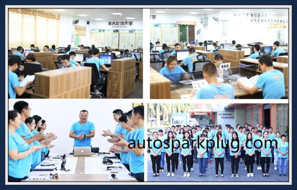 Car Spark Plug 18814-11051 for 1993-2011 Hyundai Elantra Accent 41602 /R42XLS, BMW  320I    2.0L L6    1992 2.2L L6    2