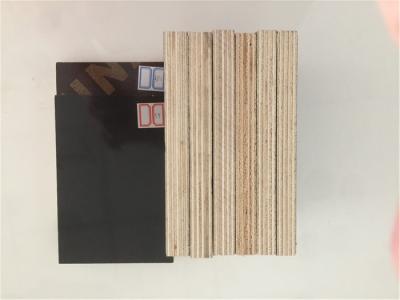 Furniture Used Phenolic Coated Plywood , WBP Phenolic Plywood Sheets
