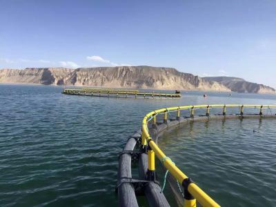 Pez de agua dulce Pez de acuicultura Jaula circular para estanques lago y cerca de la costa
