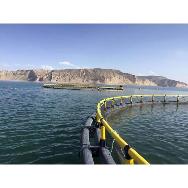 Delivery Detail Two Weeks After Receiving Deposit Floating Fish Farming Cage Feeding Net HDPE Bracket 315mm for Lake