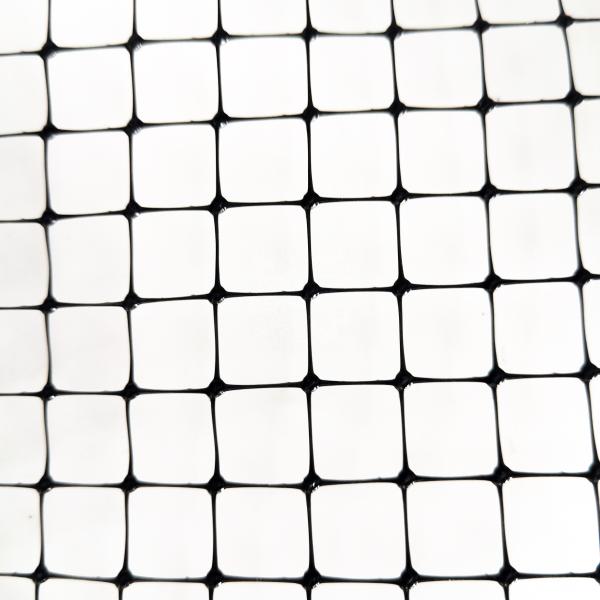 Plastic Poultry Aviary Netting for Thailand Chicken Cage and Bird Protection