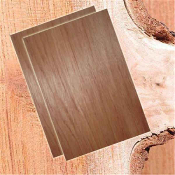 Commercial BB CC Grade 1220*2440*18mm Bintangor Plywood