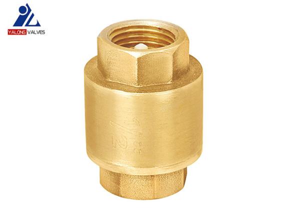 DIN259 2 Inch Brass Check Valve Abs Core  No Leakage 1.0MPa