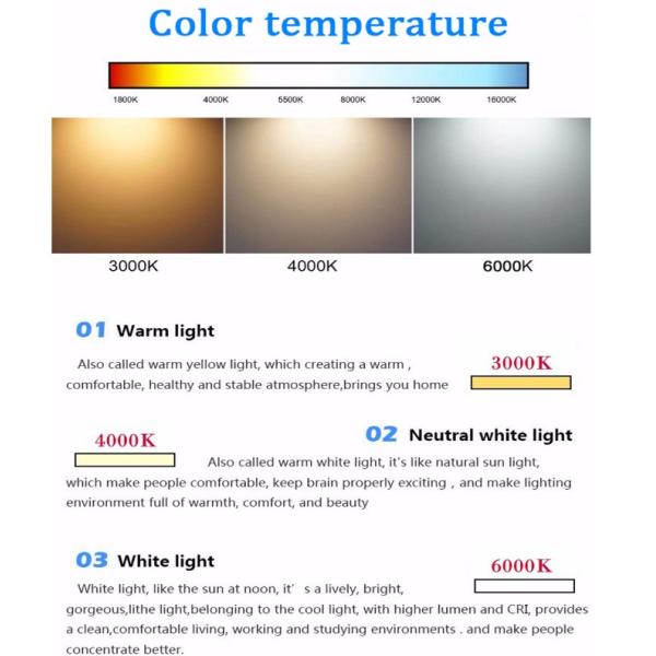 IP65 las luces de calle de la prenda impermeable LED del círculo 4000K 100w 30000 horas de CREE de la vida saltan confiable
