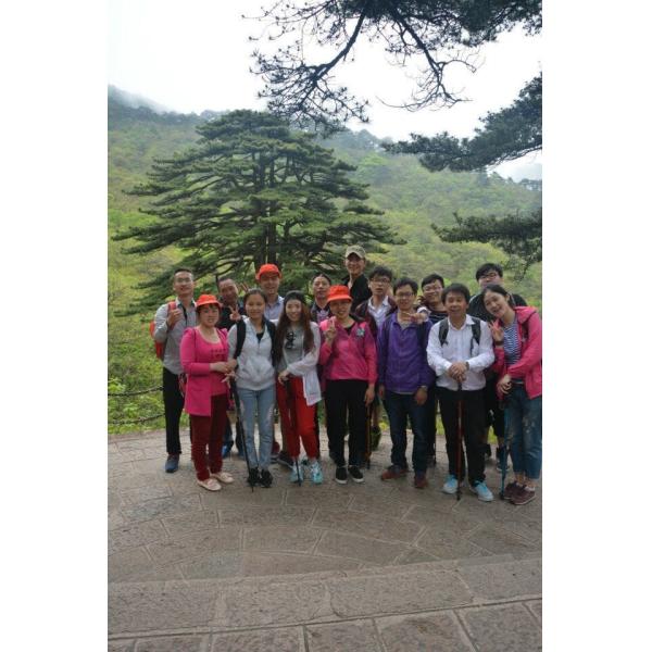 Ningbo Golden Classic Lighting Co., Ltd.