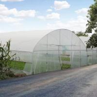 Équipement de serre pour les légumes