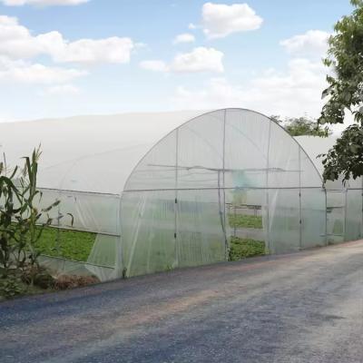 Durable Agriculture UV Resistant Plastic Film Greenhouse Equipment For Vegetables