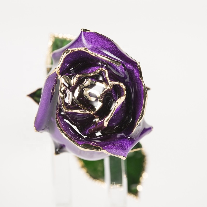 24k Gold Trimmed Rose Fresh Preserved Flower Gold Plated Natural Rose Handmade Preserved Rose