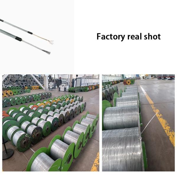 316 Alloy Oilfield Cable with Pressure Sealed Conduit