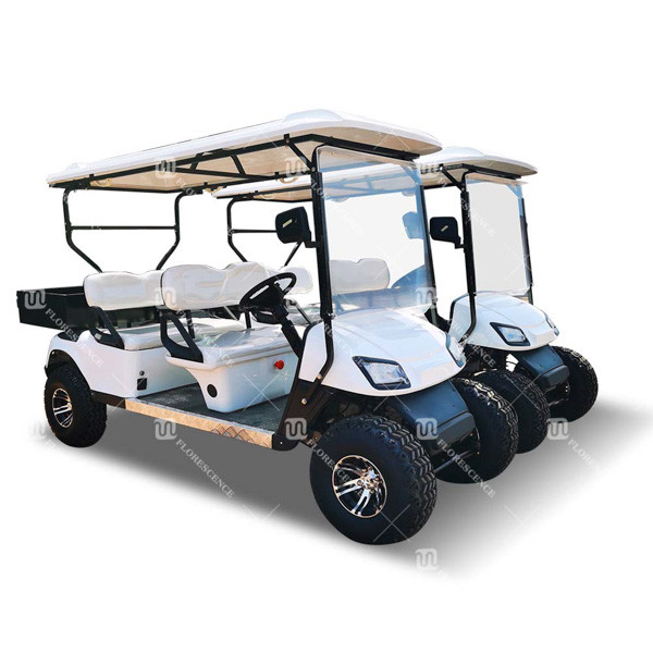 На открытом воздухе гольф автомобиля тележки для гольфа пляжа 8 человек багги с аттестацией КЭ 850кг 4кв