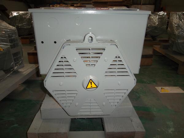 Three Phase Double Bearing Alternator
