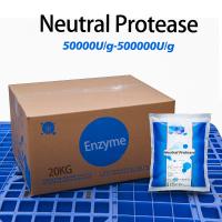 Enzyme subtilisine 500 000 U/g Utilisée pour l'alimentation protéinée et la médecine, fournissant un échantillon de préparation enzymatique