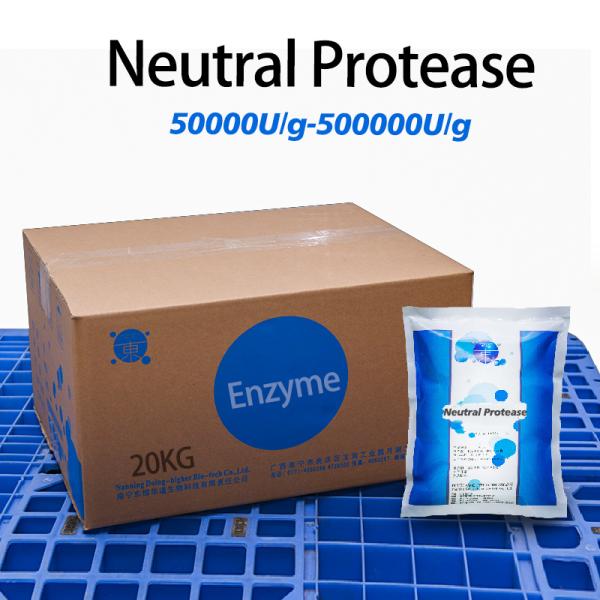 Enzyme subtilisine 500 000 U/g Utilisée pour l'alimentation protéinée et la médecine, fournissant un échantillon de préparation enzymatique