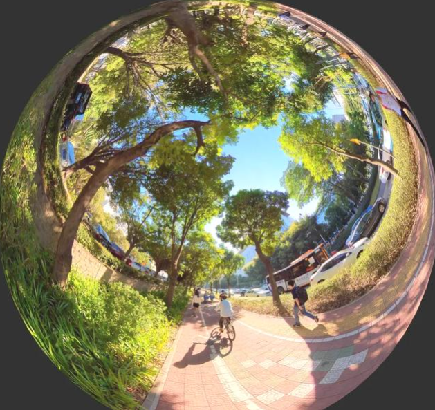 M12 226° широкоформатное 360degree окружают объектив взгляда