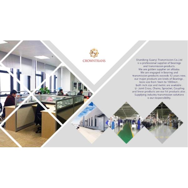 Chrome Steel AUTO Needle Roller Bearing RP1563 for Durable Truck and Tractor Engines