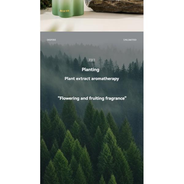 Experience the Benefits of Non-Flammable Osmanthus Aromatherapy at Home and Office