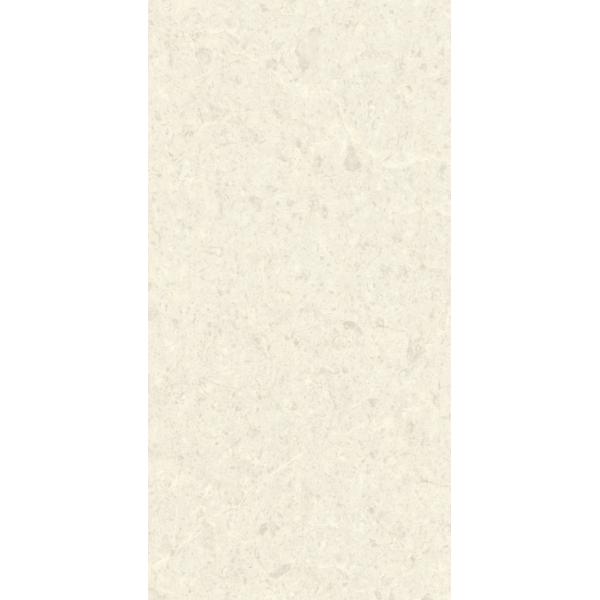 Large White Porcelain Ceramic Wall Floor Tiles Modern Matt Stone Texture 600X1200mm