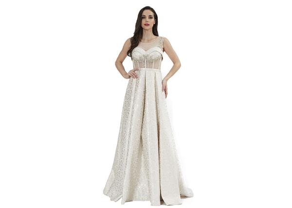 See Through Backless Sexy Sleeveless Evening Dress For Women Dinner Wear