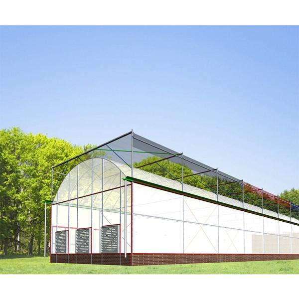 Solar Gray Polycarbonate Sheet Greenhouse For Aquaponics Farming System