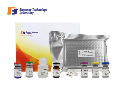 96 Wells Porcine ELISA Kit Catechol - O - Methyltransferase With High Specificity