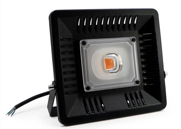 Indoor Grow Kits 200W Led flood Growth Light For Greenhouse High Bright