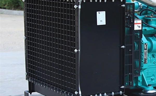 50 Hz Natural Gas Powered Generator , 200 Kw Gas Electric Generator Ac Three Phase