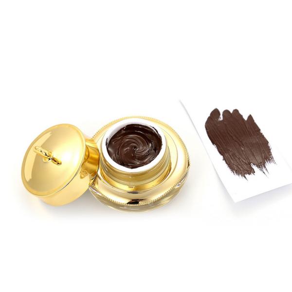 5 Ml / Bottle Permanent Makeup Pigments Eyebrow Eyeline Tattoo Coloring Organic And Health Ink