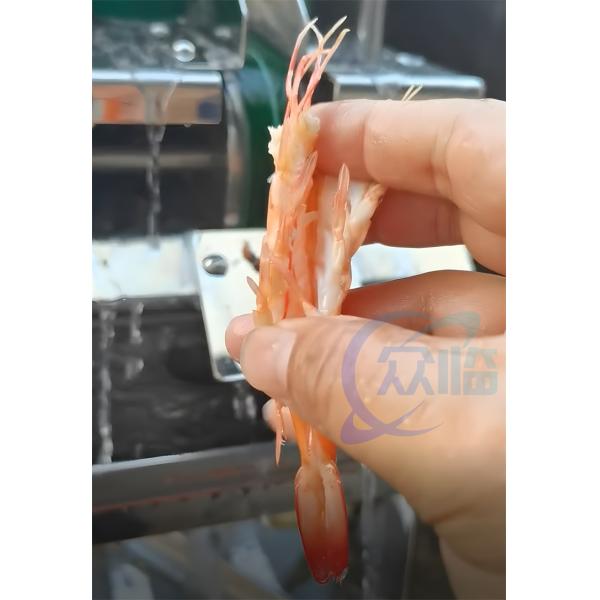 Устойчивая креветочная режущая машина с множественным антикоррозионным оборудованием 120 кг