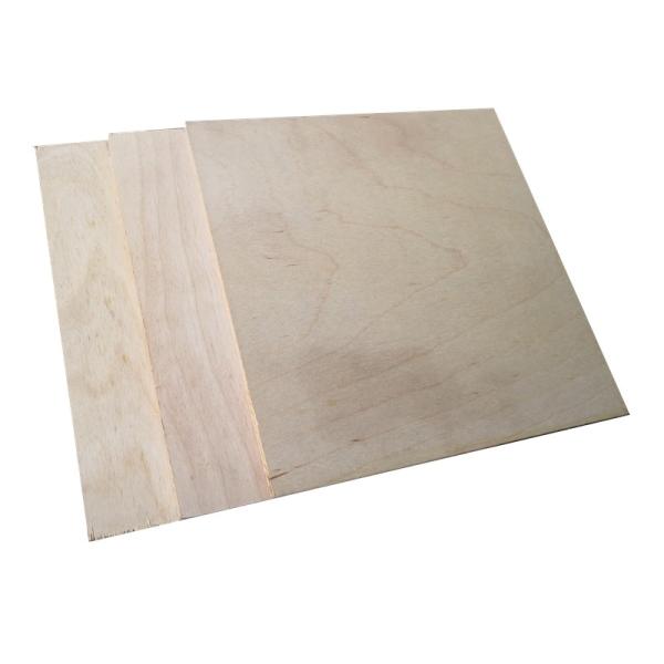 18mm Phenolic Birch Faced Plywood Mothproof For Furniture