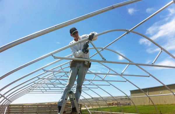 Período galvanizado da estufa do filme do PE do túnel da armação de aço único para a agricultura
