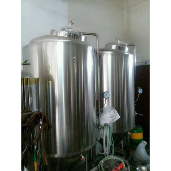 Professional Craft Beer Brewing Equipment with Stianless Steel 304 Processing