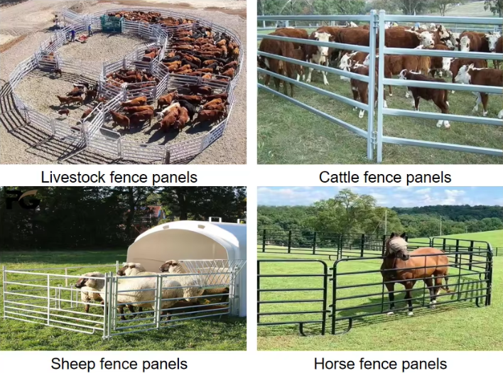 Steel Galvanized Livestock Fence Panels For Cattle Corral Yard